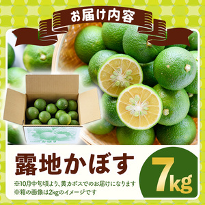 ＜先行予約受付中！2025年8月上旬～2026年2月下旬ごろ順次発送予定＞露地カボス(約7kg)かぼす カボス 柑橘 特産品 大分県産【107100601】【あいはな農園】