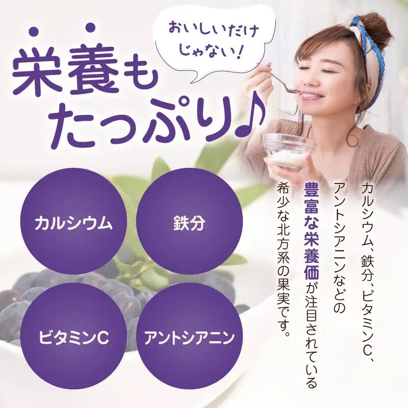 カナダ産 苫小牧市民還元 ハスカップジャム 435g（1瓶） T044-017 果物 加工品