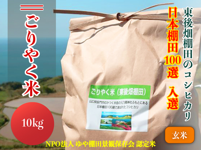 (1233)【令和6年度産先行予約】お米 玄米 東後畑棚田こしひかり 10kg「ごりやく米」コシヒカリ