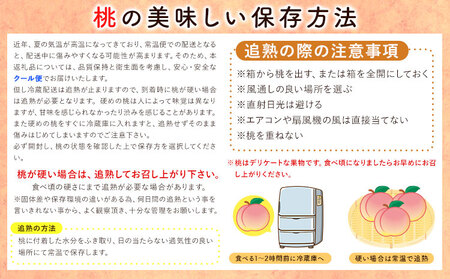 和歌山の 桃 秀選品 約 2kg 1箱 厳選館【配送不可地域あり】《2024年6月末-8月下旬より順次出荷》和歌山県 日高川町 果物 フルーツ 桃 もも