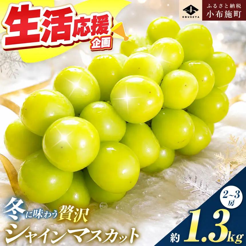 蔵出し冬のシャインマスカット 約1.3kg 2～3房 ［小布施屋 ］令和8年産【2026年11月中旬～2027年2月発送】［B-503］