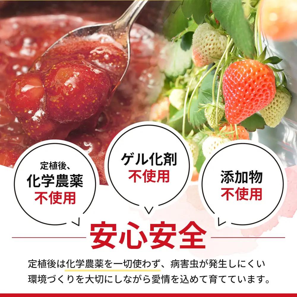 越後姫ジャム10瓶 いちご イチゴ 苺 加工品 お取り寄せ 新潟