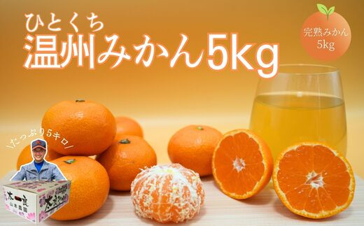 
【佐賀県太良産】山本農園『一口温州みかん 5kg』（10月中旬～1月下旬出荷予定）
