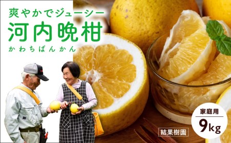 ばんかん 9kg 家庭用 晩柑 みかん 河内晩柑 蜜柑 フルーツ スイーツ お裾分け デザート 柑橘 ジャム お菓子 結果樹園 宿毛市 高知県