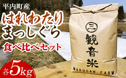 100年続く米農家 新米 まっしぐら・はれわたり 食べ比べセット各5kg 合計10kg （令和6年産） 【マルサンファーム】 白米 精米 米 お米 おこめ コメ 東北 青森県 平内町 F21J-134