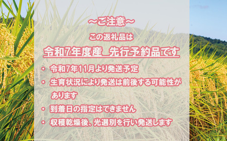 【令和7年度産　11月初旬発送予定】大阪府熊取町「わりかし若い百姓の会」の美味しいお米　にこまる　10㎏（5㎏×2袋）（033_5002）　