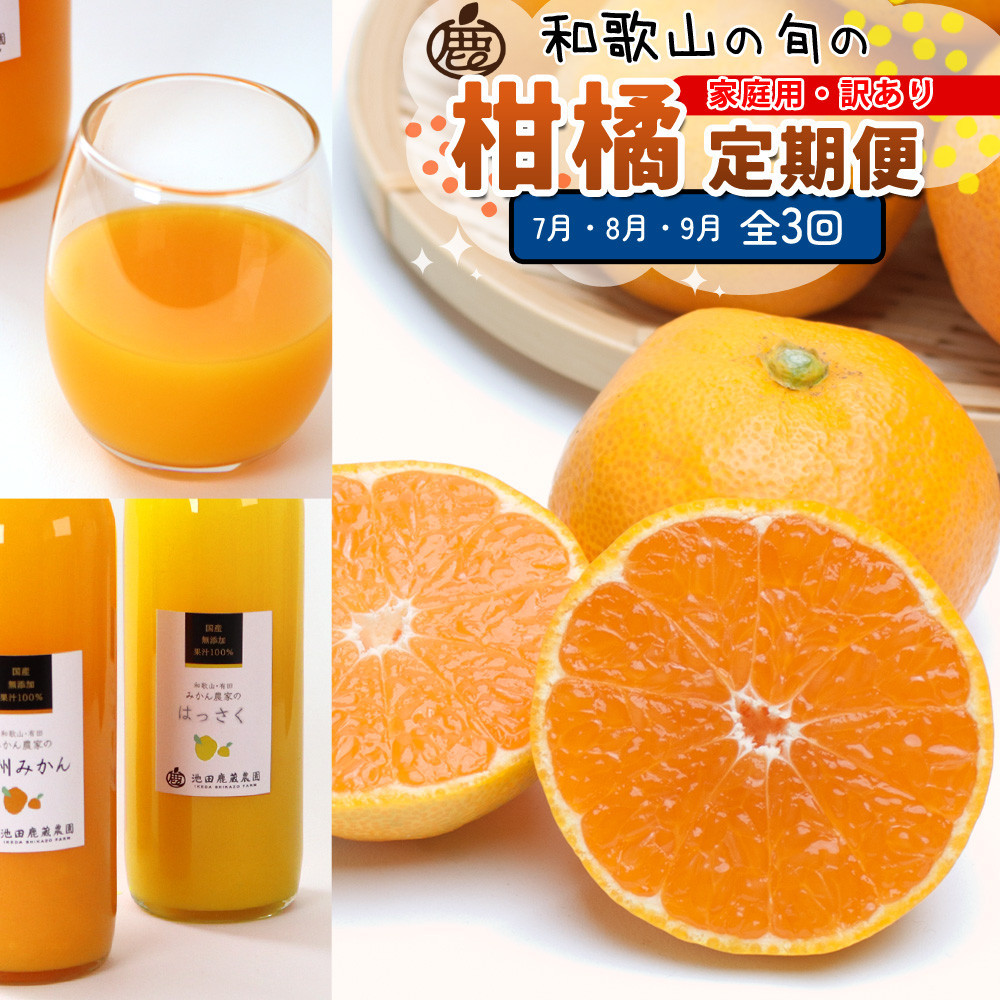 家庭用 柑橘定期便S（7～9月）全3回 ［IKE305］BB90214