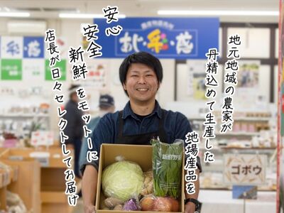 野菜 果物 加工品 6～8種 詰め合わせ セット フルーツ 乾燥 旬 旬の野菜 旬のフルーツ 季節の野菜 季節のフルーツ 季節の果物 産地直送 お楽しみ袋 青森 青森県 鰺ヶ沢町世界自然遺産 白神山地
