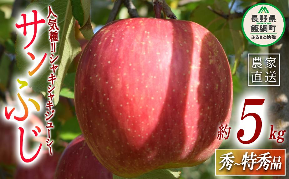 
            りんご サンふじ 秀 ～ 特秀 5kg 丸山りんご園 沖縄県への配送不可 2025年12月上旬頃から2025年12月下旬頃まで順次発送予定 令和7年度収穫分 信州 果物 フルーツ リンゴ 林檎 長野 16000円 予約 農家直送 長野県 飯綱町 [0264]
          