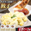 【ふるさと納税】あか牛と高菜の餃子 18個入り×3箱 南阿蘇物産センター《30日以内に出荷予定(土日祝除く)》熊本県 南阿蘇村 肉 牛 うし 牛肉 あか牛 高菜 たかな 餃子