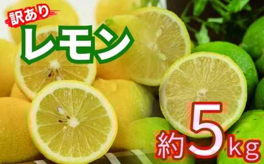 訳あり レモン サイズ不揃い 約5kg