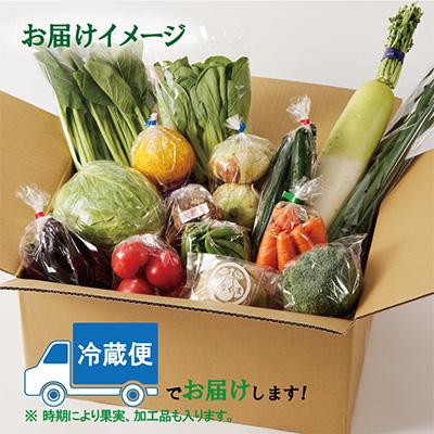 ふるさと納税 泉佐野市 【毎月定期便】泉州野菜 定期便 15種類以上 詰め合わせ 新鮮 冷蔵 全6回 |  | 01