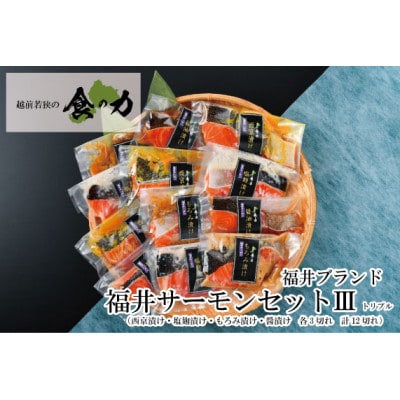 ふくいサーモンセットトリプル　(西京漬け・塩麹漬け・もろみ漬け・醤油漬けの4種類(各3切れ))【配送不可地域：離島】【1393719】