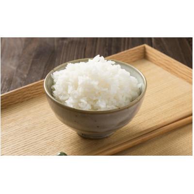 ふるさと納税 五霞町 茨城県産コシヒカリ10kg(5kg×2) 精米 |  | 01