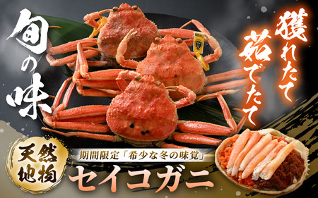 【先行予約】【冷蔵】旬のセイコガニ 中 6杯  計840g以上（茹で前【2025年11月上旬以降順次発送予定】）説明書付き 全て地物！ 天然！ ズワイガニメス [m21-x005_11]