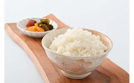 市貝町産 特別栽培米〈ゆうだい21〉10kg ｜ 国産 栃木県産米 お米 特別栽培米 精米 白米 栃木米 とちぎ米 ※離島への配送不可