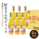 【ふるさと納税】みかん 紅まどんな ジュース 720ml × 6本 無添加 ストレート 果汁100％ 高級 蜜柑 あいか 愛媛県 松山市