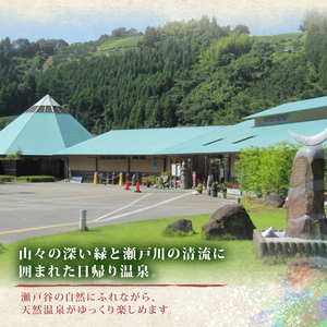 温泉 回数券 11回分 チケット 天然温泉 炭酸泉 サウナ 家族 旅行 ゆっくり のんびり リラックス 癒し 入浴 静岡県 藤枝市
