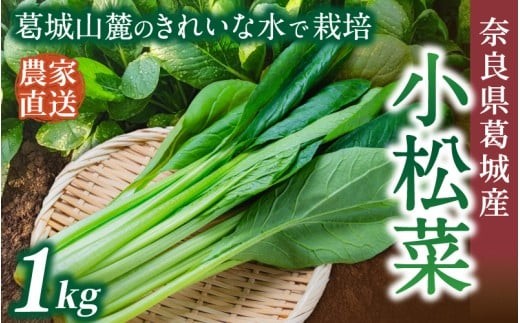 
                  奈良県産 小松菜 約1kg  【順次発送】／ スマイル葛城農業 野菜  小松菜 農家直送 産直 新鮮 旬 サラダ 名産 健康 美容 栄養 奈良県 葛城市【smlk060】
                