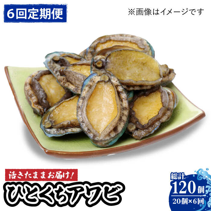 【ふるさと納税】【全6回定期便】【活きたままお届け！】 上五島産 養殖 ひとくち アワビ 厳選 20個【豊建設株式会社】 [RAE007]