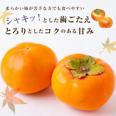 ふるさと納税 うきは市 冷蔵富有柿 8〜9玉 U064-2KA-RF02 |  | 02