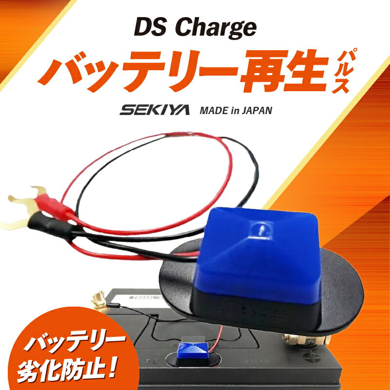 【ふるさと納税】超小型パルス DS Chargerバッテリー再生パルス