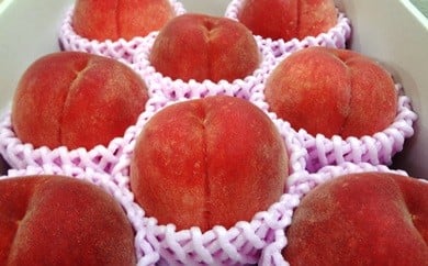 08-07-004　もも(川中島白桃)3kg