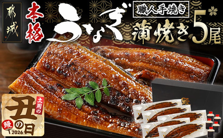 【丑の日】職人手焼きの本格うなぎ蒲焼き5尾≪7月20日～25日お届け≫_32-33-003-5-UG_(都城市) うなぎ 蒲焼き 5尾 たれ 鰻 かば焼き 土用の丑の日