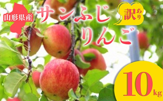 ≪2026年先行予約≫ 訳あり サンふじりんご 10kg りんご リンゴ 林檎 デザート フルーツ 果物 くだもの 果実 食品 山形県 FSY-0679