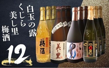 No.5072　白玉の露 ・梅酒・美し里・くじら（4合瓶）12本セット