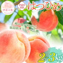 【ふるさと納税】2025年出荷分 先行予約数量が選べる 福島県産 はつひめ 2kg 3kg 2025年7月上旬〜2025年7月中旬発送 先行予約 予約 伊達の桃 桃 もも モモ 果物 くだもの フルーツ 国産 食品 F20C-506var