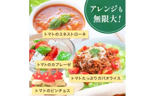 【先行予約】 和歌山県由良町産 ゆらミニトマト 1.5kg×1箱※2026年10月中旬頃から翌年6月中旬頃に順次発送予定(お届け日指定不可) / トマト ハウス栽培 とまと 野菜 産地直送 新鮮 由良
