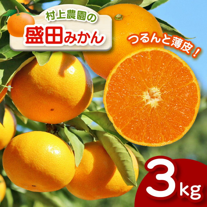 【ふるさと納税】みかん 盛田みかん 3kg 盛田温州 村上農園 数量限定 大小混合 産地直送 生産者直送 希少品種 減農薬 薄皮 玉名 熊本 送料無料