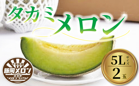 先行受付 飯岡メロン(青肉)5L(約1.7kg)×2玉 メロン メロン メロン メロン メロン