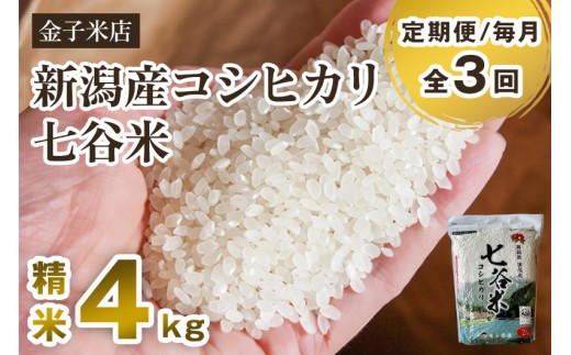 【令和7年産】【定期便3回毎月お届け】老舗米穀店が厳選 新潟県加茂市産コシヒカリ「七谷米」精米4kg（2kg×2）〈順次出荷〉 従来品種 白米 窒素ガス充填パックで鮮度長持ち 金子米店 定期便