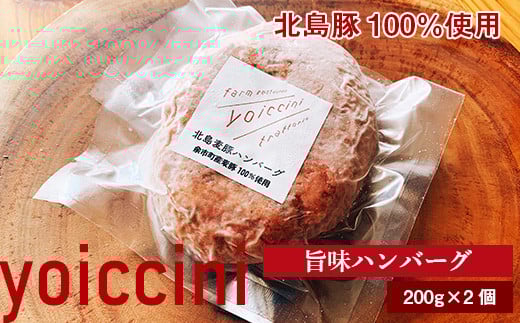 
北島豚100％使用！ヨイッチーニ旨味ハンバーグ200g×2個〈ヨイッチーニ〉

