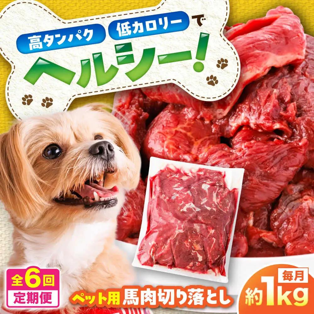 【全6回定期便】国内加工 ペット用 馬肉 切り落とし 約1kg ペット用 BHCY055