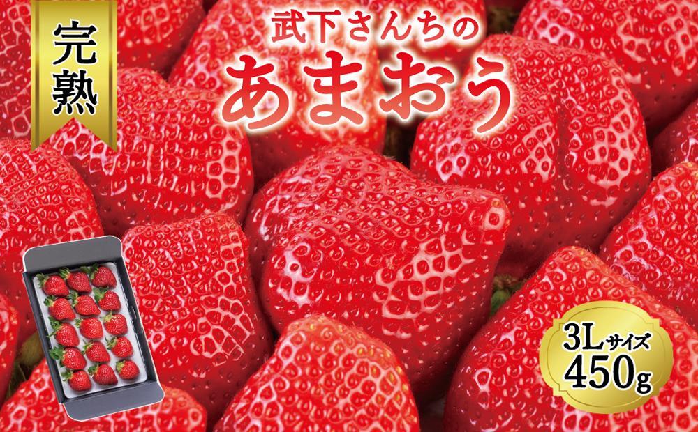 【今期発送の受付は2025年4月27日(日)まで】★福岡の産直いちご農家★武下さんちの「完熟あまおう」3Lサイズ 450g