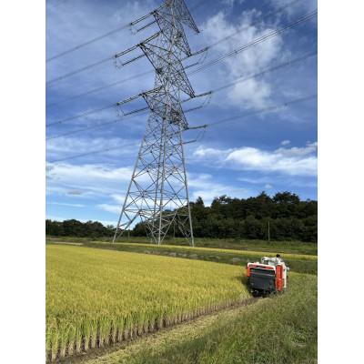 ふるさと納税 南陽市 〈令和7年産〉 山形県産【つや姫】精米 5kg(5kg×1袋)【S2569】 |  | 01