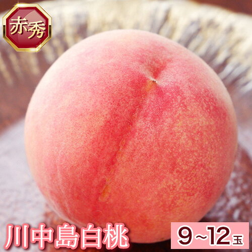【ふるさと納税】和歌山県紀の川市産 川中島白桃 9-12玉入り≪赤秀≫ 株式会社松源《2026年7月下旬-8月中旬頃出荷》和歌山県 紀の川市