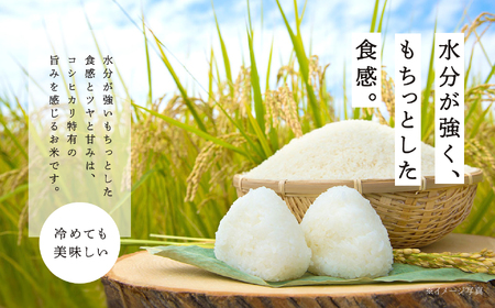 米 定期便 3ヶ月 JAふくしま未来 コシヒカリ 5kg【こらんしょ市】
