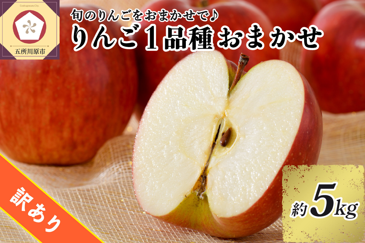 
【選べる配送時期】 【訳あり】 旬の美味しい りんご 約5kg 青森 産 【おまかせ1品種】
