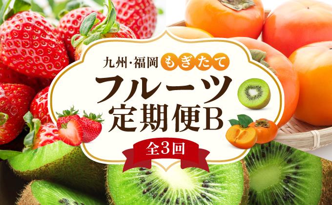 ＜定期便・全3回＞九州・福岡もぎたて フルーツ定期便 B|果物 旬 国産 産地直送 いちご イチゴ 苺 あまおう かき カキ 秋王 キウイキウイ キウイフルーツ キウィフルーツ 甘うぃ 送料無料 那珂