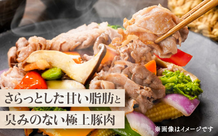 【香心ポーク】 切り落としメガ盛り(計約2kg) 豚肉【有限会社コーシン】 [BHAH009]