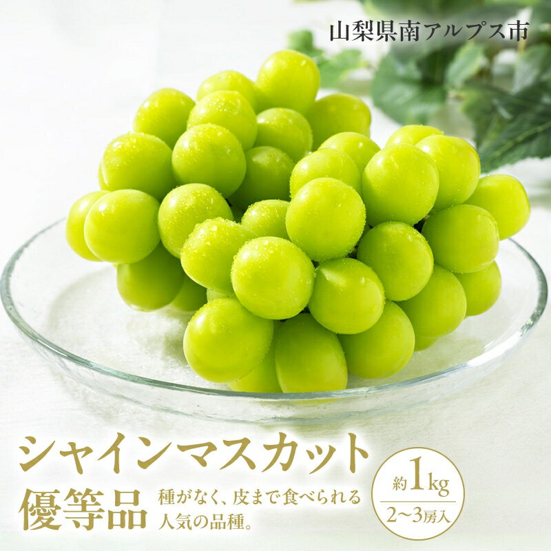 【ふるさと納税】 ＜2025年発送分先行予約＞山梨県南アルプス市産シャインマスカット　優等品　約1kg　2〜3房 ふるさと納税 シャインマスカット マスカット 葡萄 果物 フルーツ おすすめ 山梨県 南アルプス市 送料無料 ALPAH008
