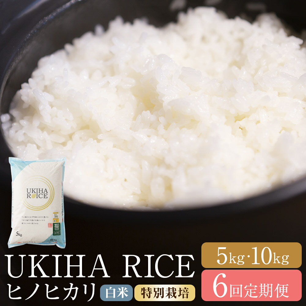 【ふるさと納税】＜選べる内容量＞【6ヶ月定期便】みずほファーム UKIHA RICE 白米（特別栽培米） ヒノヒカリ 1回あたり5kg / 計10kg（5kg×2袋） 1ヶ月毎 6回 お米 こめ 精米 単一原料米 ごはん ご飯 福岡県産 国産 送料無料 【2025年12月上旬～2026年7月下旬発送予定】
