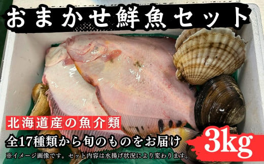 漁港直送！季節のおまかせ鮮魚 3kgセット 《厚真町》【鵡川漁業協同組合】[AXAL002]