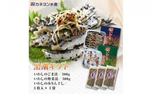 
いわし 黒潮セット 漬魚 みりん干し おかず おつまみ つまみ 海鮮 魚介 魚介類 加工食品 醸造酢 生姜 唐辛子 黒煎りごま 人気の一品 酒の肴 [№5743-0108]
