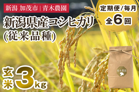 【令和7年産新米先行予約】【定期便6ヶ月毎月お届け】新潟県産 コシヒカリ（従来品種）玄米3kg（3kg×1袋）《10月上旬から順次発送》 玄米 白米 きのこ農家ならではの有機質肥料 お米 新潟産 コシヒカリ 加茂市 青木農園