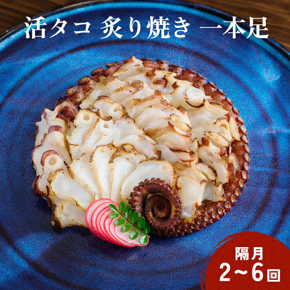 【ふるさと納税】活タコ 炙り焼き 一本足 定期便 隔月 2-6回 タコ たこ 国産 直火焼き おかず おつまみ タコ足 炙りタコ 蛸 国産たこ 海鮮 魚介 タコ刺し 刺身 酒の肴 宮城県 石巻市 送料無料 宮城 石巻